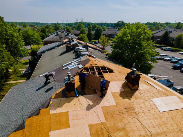 Best Roof Maintenance Services  in Potomac Park, CA