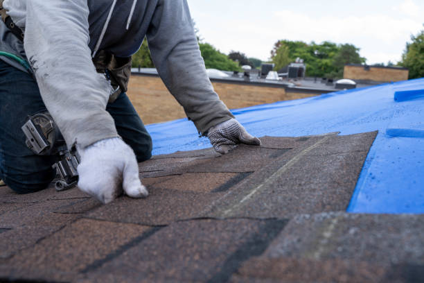 Best New Roof Installation  in Potomac Park, CA
