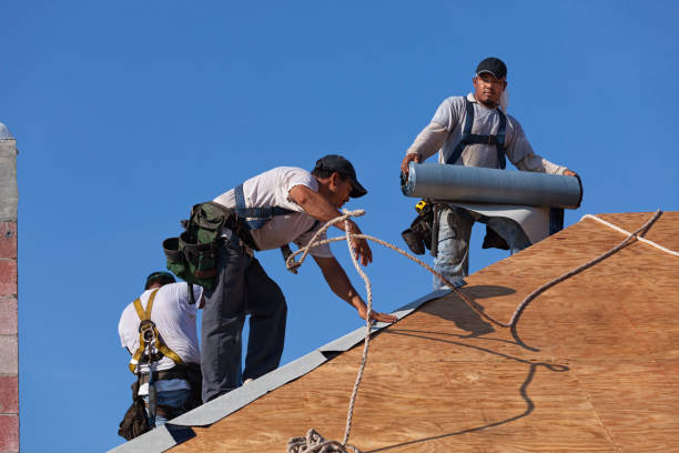 Best Roof Maintenance Services  in Potomac Park, CA