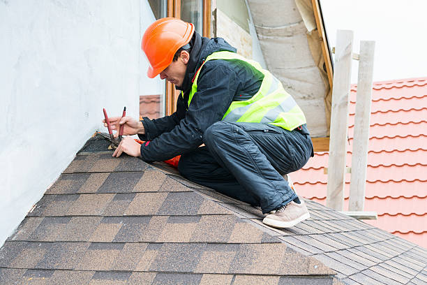 Professional Roofing Contractor in Potomac Park, CA